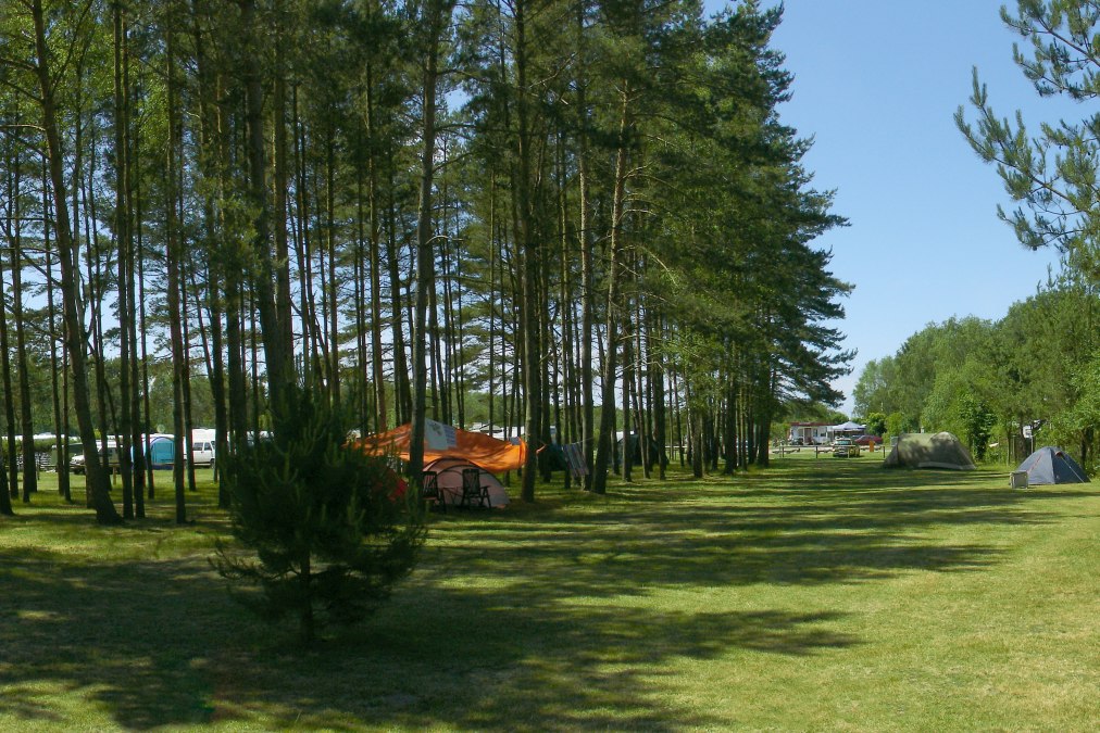 Blick auf den Zelterbereich, &copy; Camping in Neuhaus
