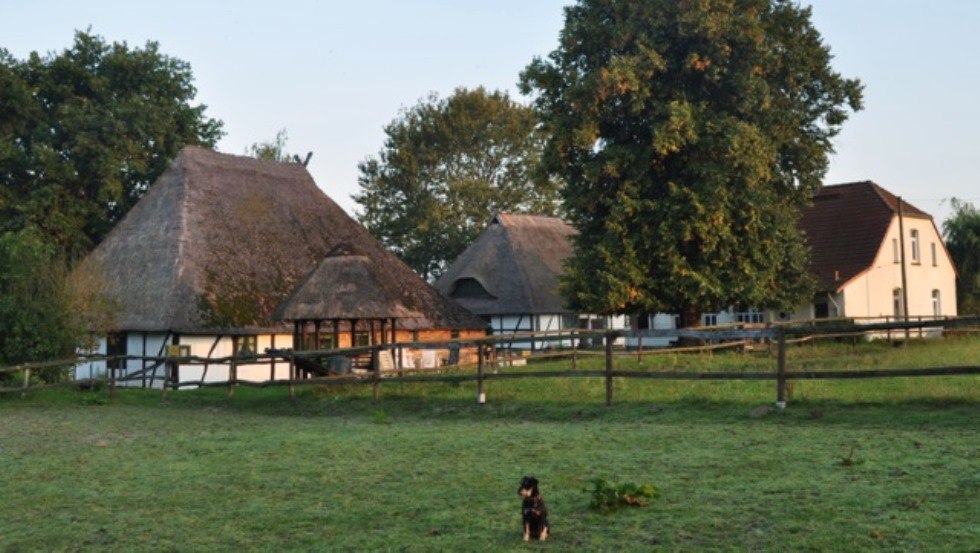 Paardenboerderij Schwalbennest: Uitzicht op onze kleine, door een familie gerunde manege in J&ouml;rnstorf, waar jij en je huisdieren van harte welkom zijn. // &copy; Pferdehof Schwalbennest/ Rauth