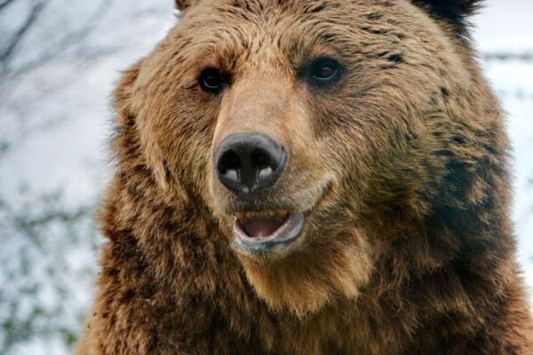 &copy; Rundus Plauer See