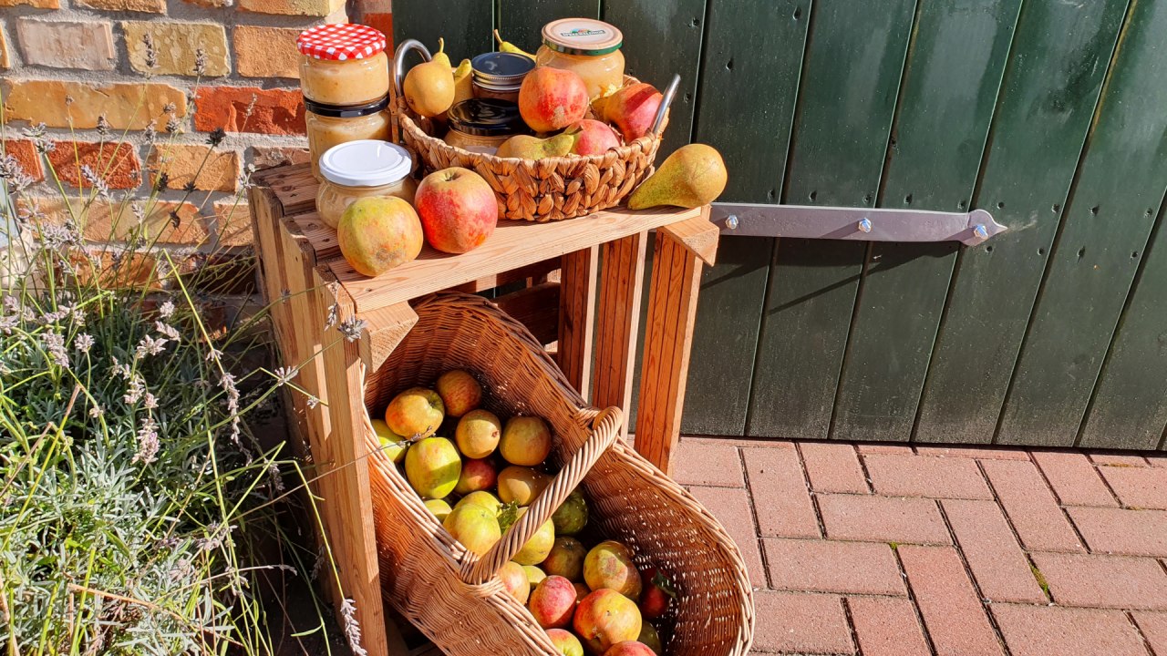Appeldag . frischer Apfelsaft aus der Presse und Sortenbestimmung // &copy; S. Maus