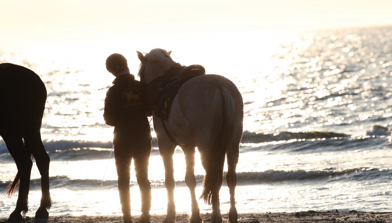 Reiten am Strand, © TMV/ACP Pantel Reiten am Strand, © TMV/ACP Pantel