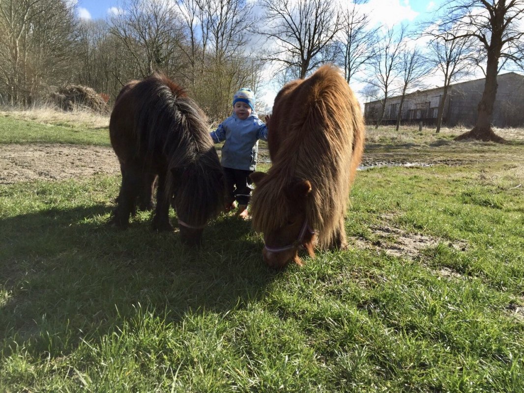 Auch Ponyreiten ist nach Absprache m&ouml;glich // &copy; &copy; Hannas Ranch
