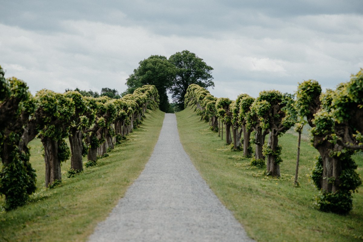 Feston-Allee vor dem Schloss Bothmer // &copy; Fotowerker - Ganzer&Berg
