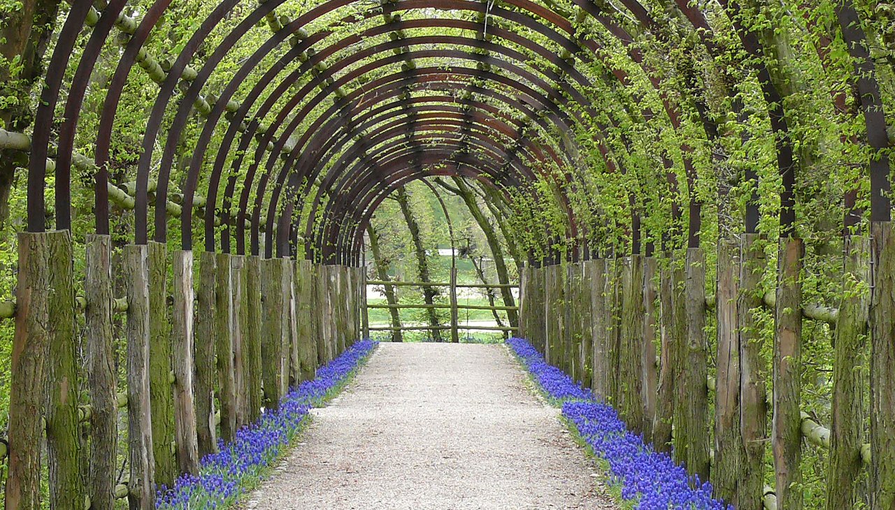 Laubengang im Schlossgarten Schwerin, © SSGK MV / Dietmar Braune