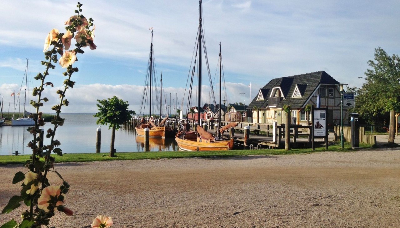 Uitzicht op de haven van Althagen vanuit de rokerij, © Räucherhaus Ahrenshoop · Foto Marie Klus Uitzicht op de haven van Althagen vanuit de rokerij, © Räucherhaus Ahrenshoop · Foto Marie Klus