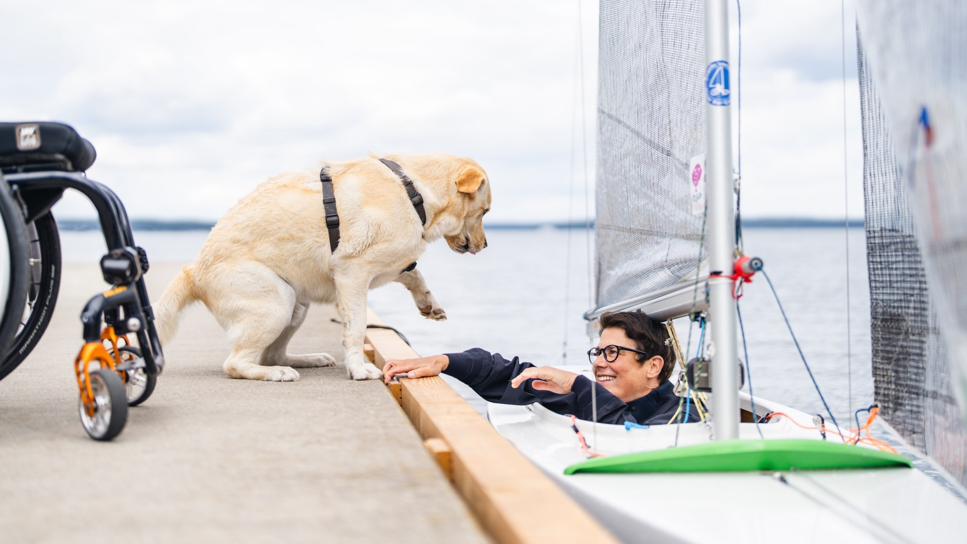 Ein Labrador Hund begr&uuml;&szlig;t sein Frauchen, das im Segelboot sitzt am Steg.