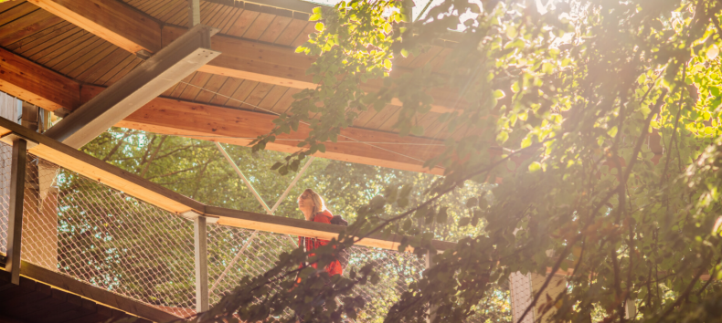 © Binzer Bucht Tourismus © Binzer Bucht Tourismus