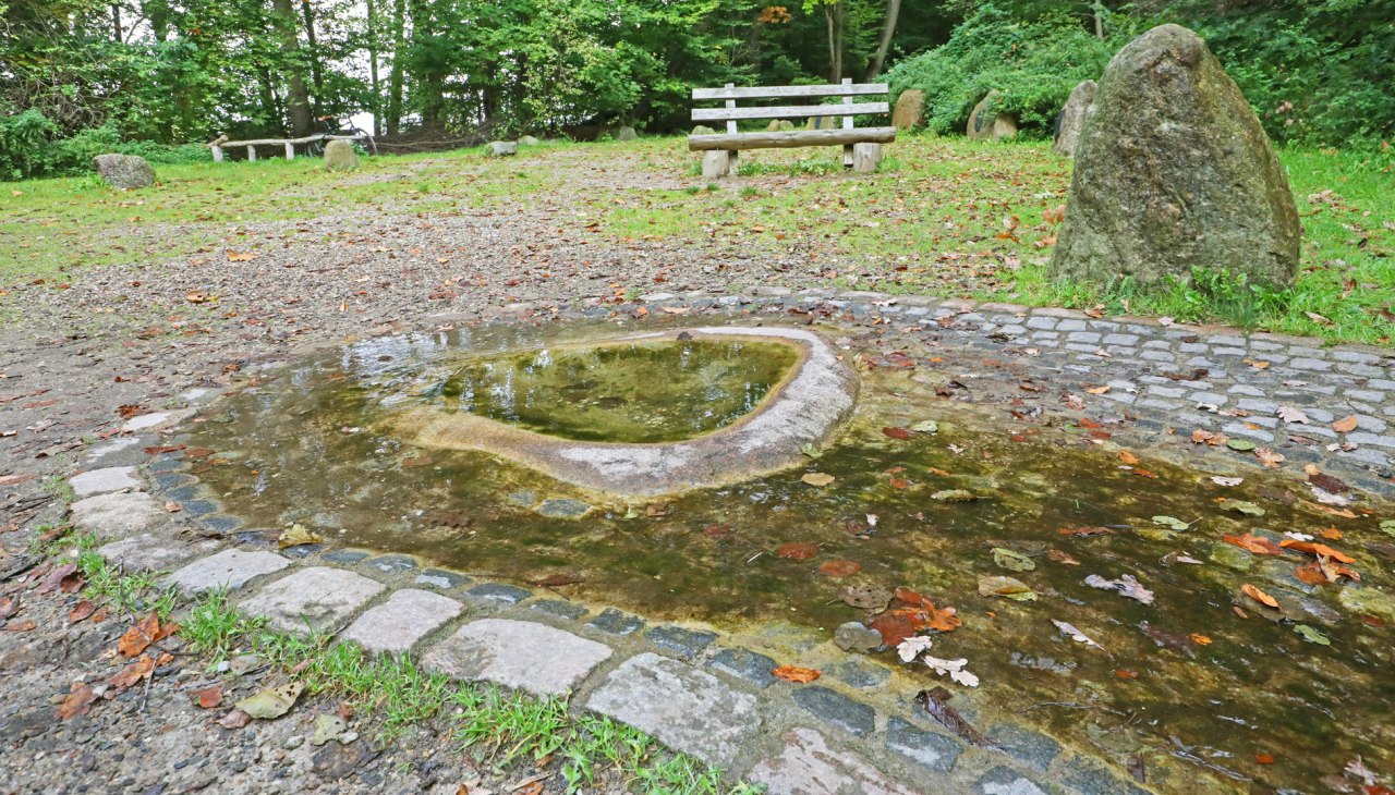 Havelquelle_3, © TMV/Gohlke Havelquelle_3, © TMV/Gohlke