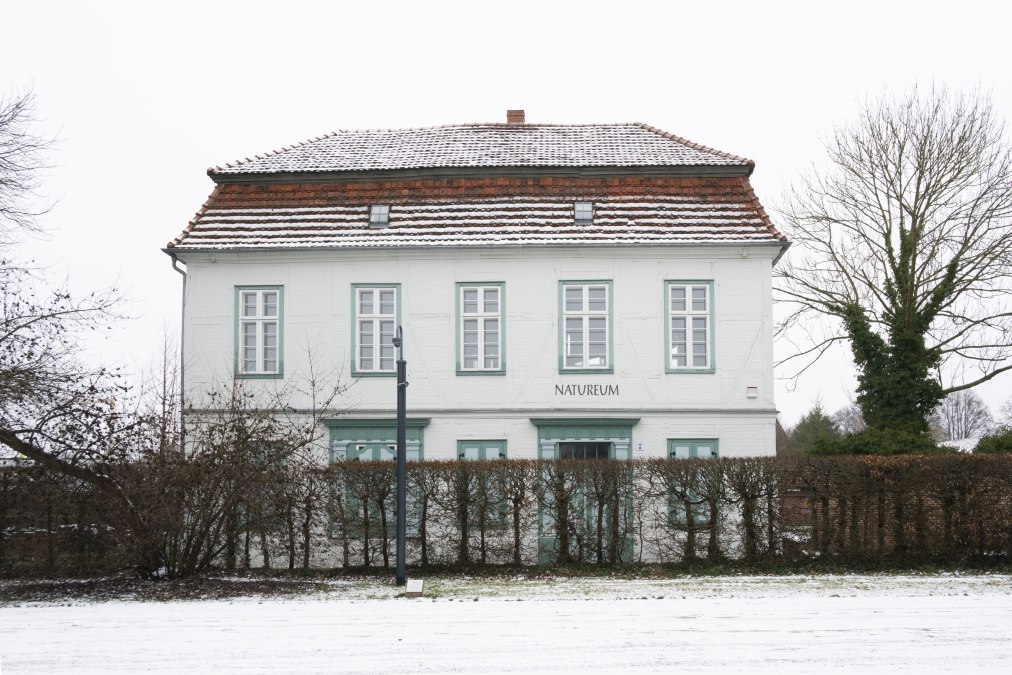 Natureum Ludwigslust, &copy; Stadt Ludwigstlust