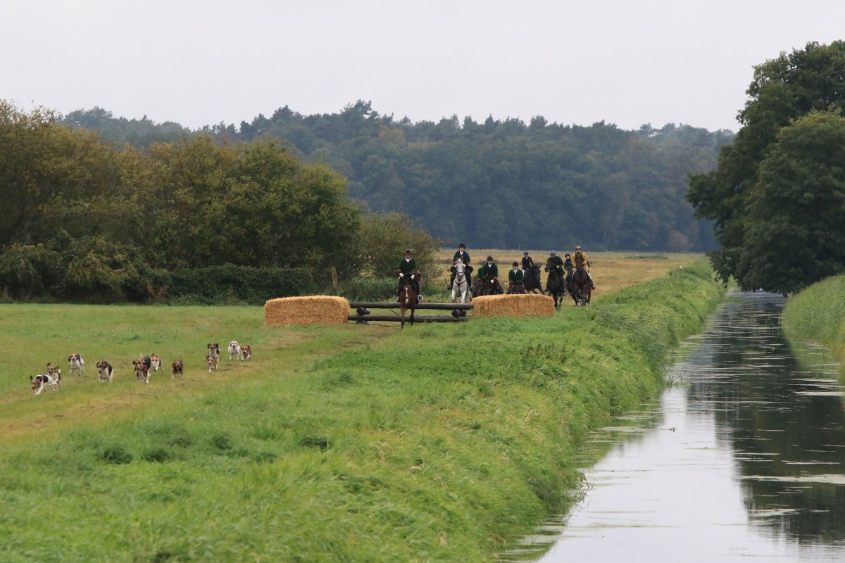 Schleppjagd, © Sven Strauß Schleppjagd, © Sven Strauß