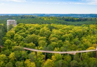 Het boomkroonpad bestaat uit een houten loopbrug die zich een weg baant door de boomtoppen en een 33 meter hoge uitkijktoren. // &copy; Erlebnis Akademie AG/Baumwipfelpfad Usedom