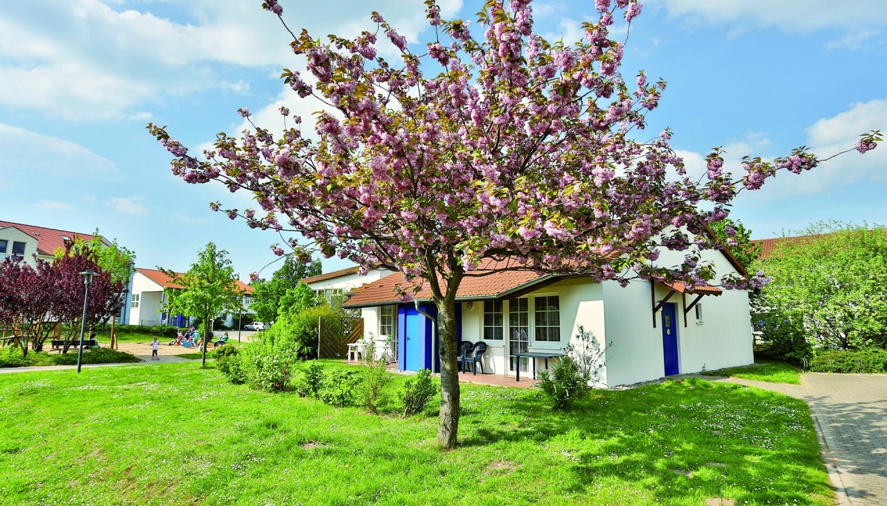 Familienferiendorf Rerik, © AWO SANO gGmbH Familienferiendorf Rerik, © AWO SANO gGmbH