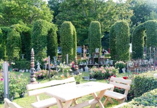 © Kurverwaltung Goehren / Martin Stoever © Kurverwaltung Goehren / Martin Stoever