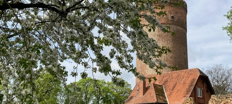 &copy; Andrea Kr&uuml;ger