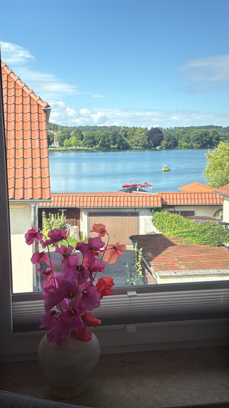 Blick auf dem Haussee // © M. Seltrecht Blick auf dem Haussee // © M. Seltrecht