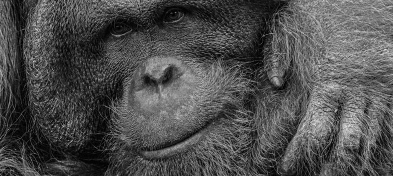 &copy; Lothar W&ouml;lfel