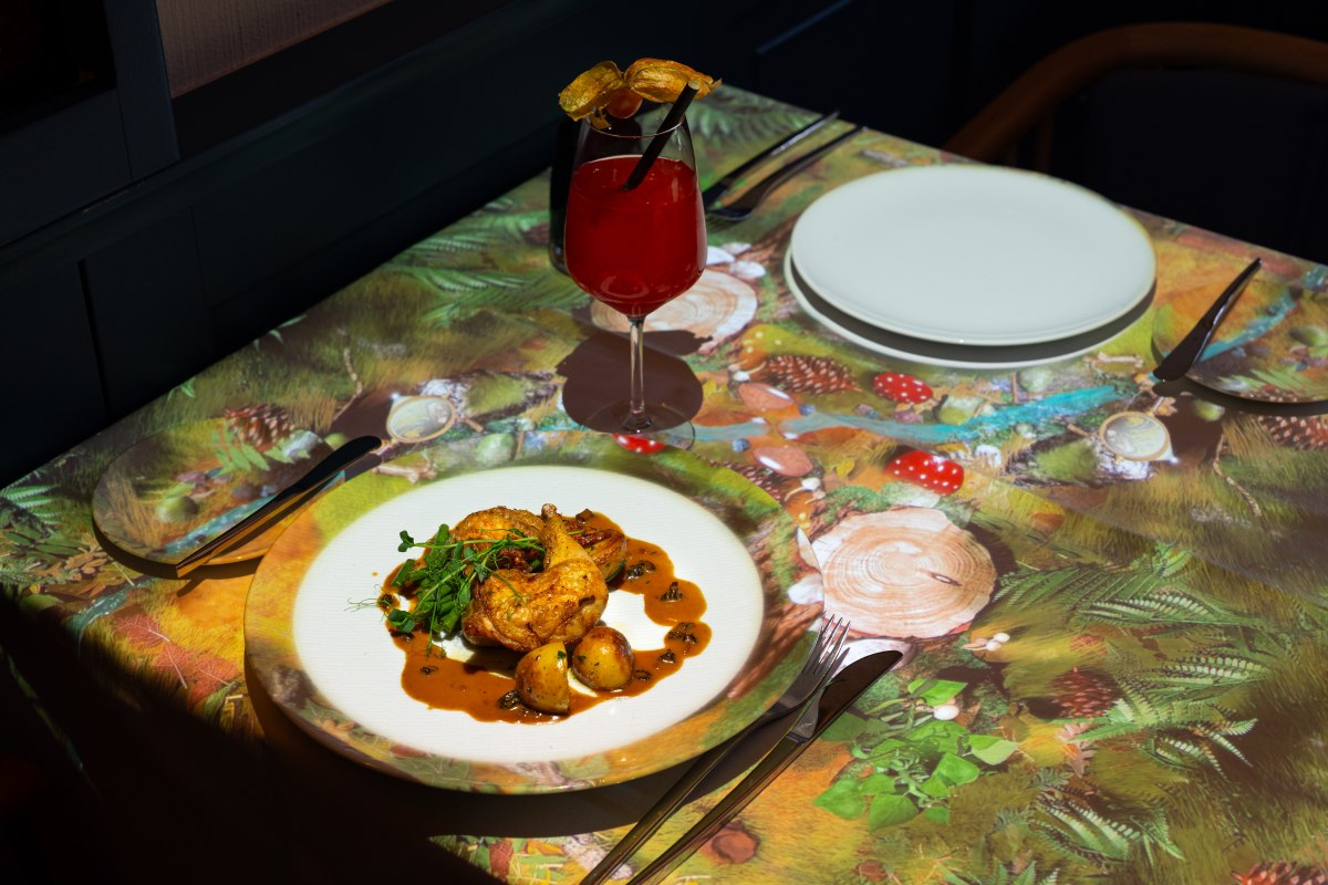 &copy; BEECH Fleesensee