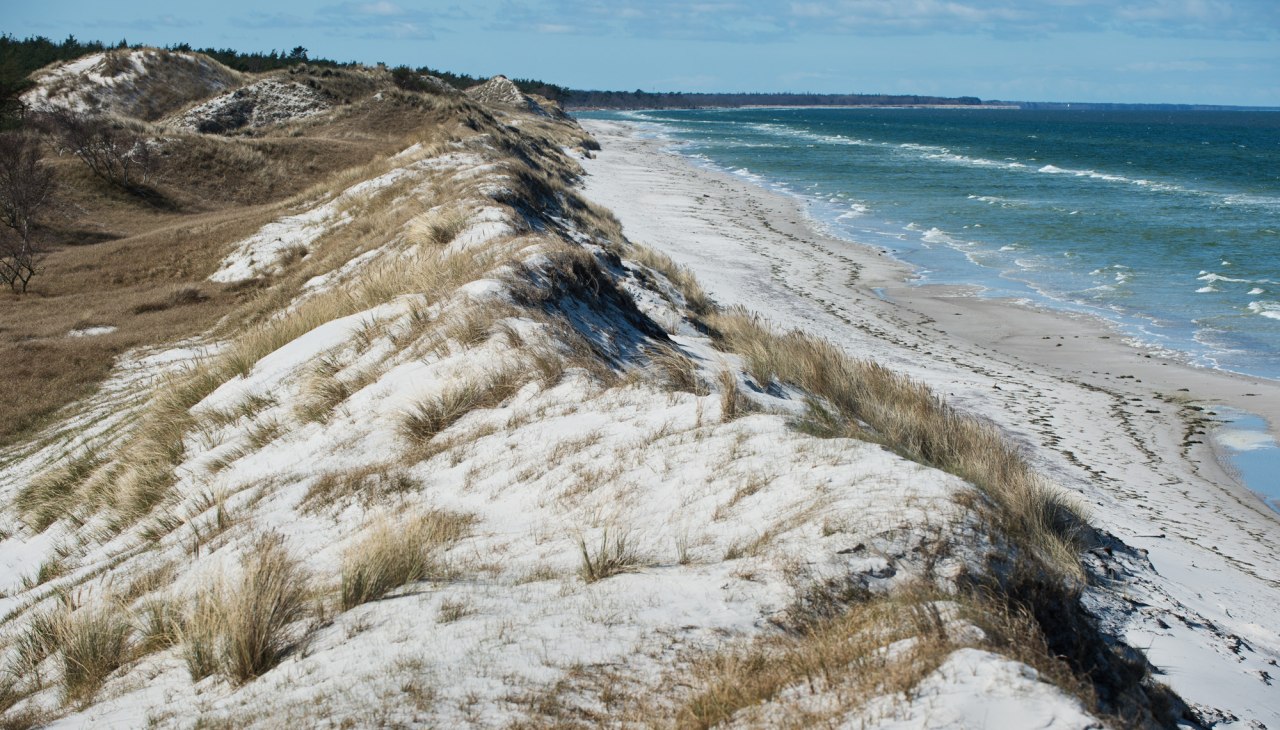 Fuehrung_Hoher_Himmel_Weites_Land_MTimm, &copy; Nationalpark Vorpommern/ M.Timm