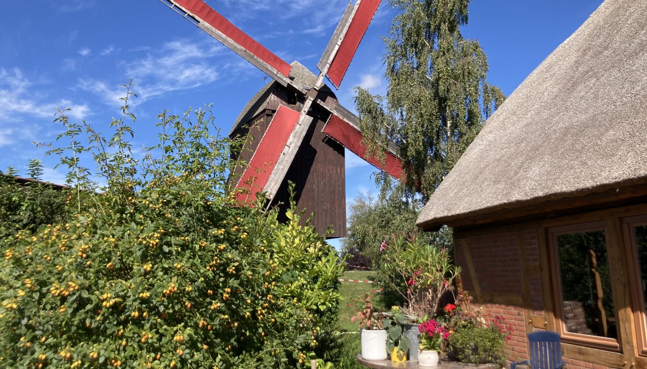 Die rot betakelten Flügel stehen im Wind, © Martin Weidemeier Die rot betakelten Flügel stehen im Wind, © Martin Weidemeier