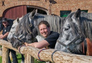 Spanish-Norman Horses vor dem Kornspeicher auf dem Gest&uuml;t Herian, &copy; Michael Schauenberg