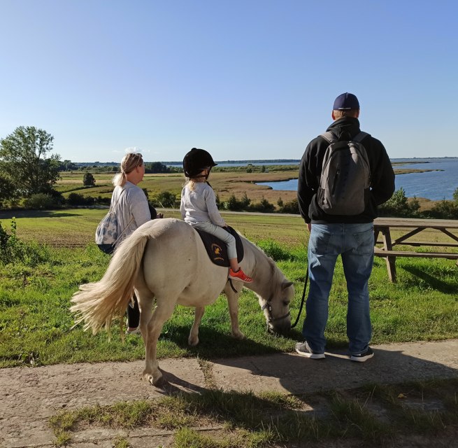 Familientag mit Pony Barth // &copy; DE