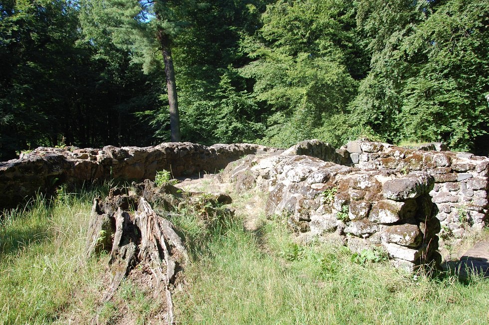 Von der Ruine kann man weit in den Park hinein schauen. // © Gabriele Skorupski Von der Ruine kann man weit in den Park hinein schauen. // © Gabriele Skorupski