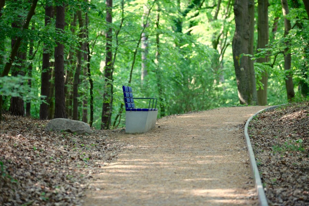 Therapiewanderung Therapiewanderung