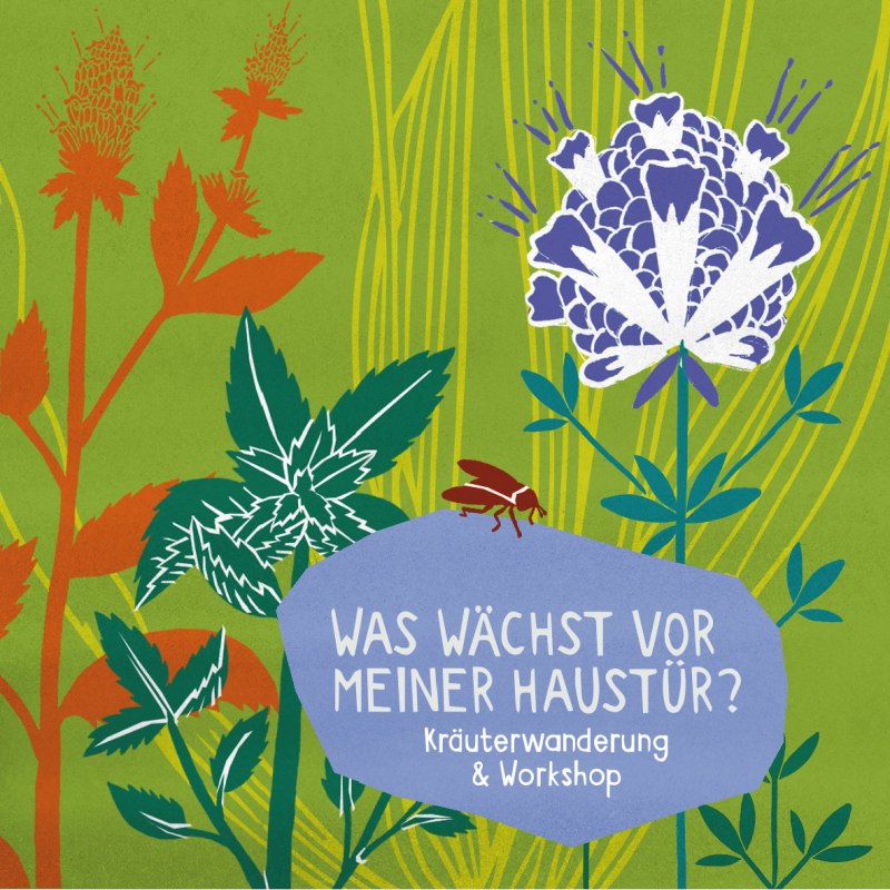 Kr&auml;uter // &copy; mittelhof