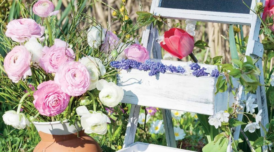 &copy; fotolia/fotoknips