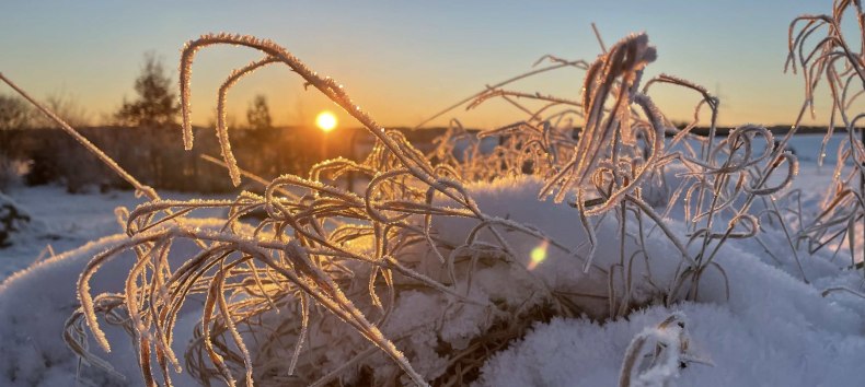 Paul Blei vom Förderverein wird mit Ihnen Spuren im Schnee (sofern vorhanden) suchen, Knospen und Zweige im Winterzustand bestimmen und die Überwinterungsstrategien der Insekten erläutern. Wer also Lust hat, seinen Kreislauf nach dem Winter wieder in Schwung zu bringen und frische Luft zu atmen, ist herzlichst bei dieser Wanderung rund um Burg Schlitz eingeladen., © Marin-Ziegler Paul Blei vom Förderverein wird mit Ihnen Spuren im Schnee (sofern vorhanden) suchen, Knospen und Zweige im Winterzustand bestimmen und die Überwinterungsstrategien der Insekten erläutern. Wer also Lust hat, seinen Kreislauf nach dem Winter wieder in Schwung zu bringen und frische Luft zu atmen, ist herzlichst bei dieser Wanderung rund um Burg Schlitz eingeladen., © Marin-Ziegler
