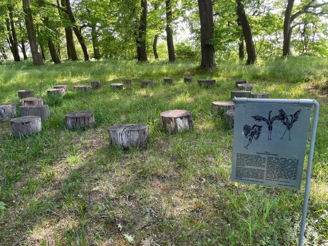 &copy; TZ S&uuml;dliche Boddenk&uuml;ste