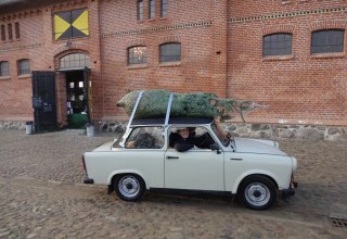 Für jeden die richtige Weihnachtsbaumgröße. // © Christian Schierning Für jeden die richtige Weihnachtsbaumgröße. // © Christian Schierning