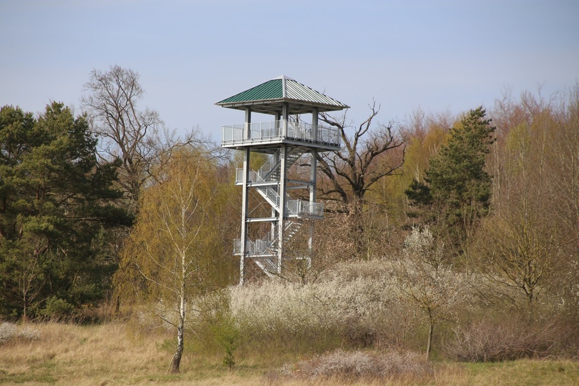 Aussichtsturm Hellberg // © Ralf Koch Aussichtsturm Hellberg // © Ralf Koch