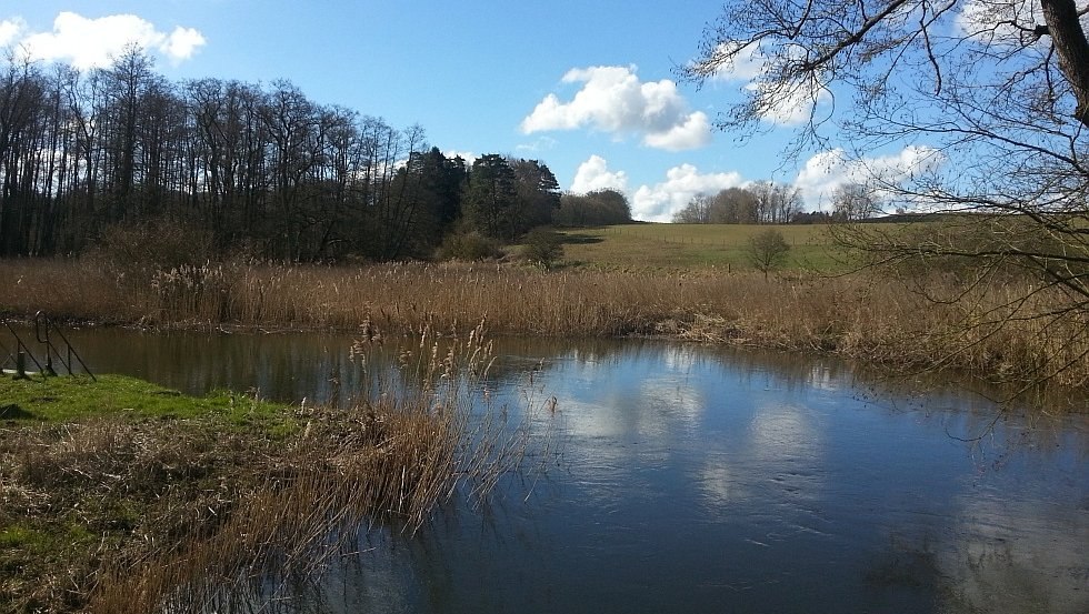 Zwischen Naturwiesen und Wald l&auml;sst sich die urw&uuml;chsige Sch&ouml;nheit dieser Landschaft in Ruhe genie&szlig;en., &copy; TMV