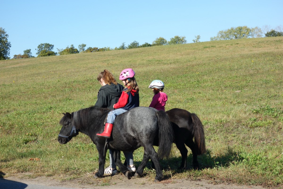 Lisa beim Ponnireiten mit Franklin und Tomy // &copy; Anja Debniak