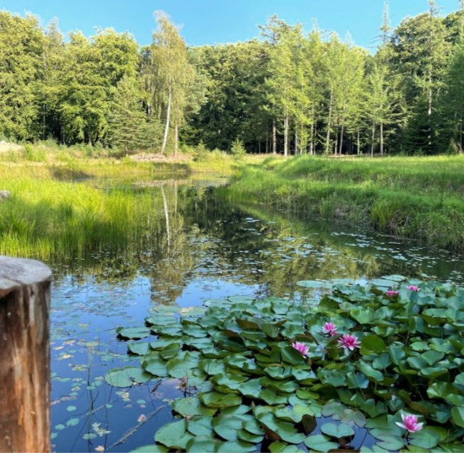 Natur im Einklang // &copy; S&uuml;dliche Boddenk&uuml;ste