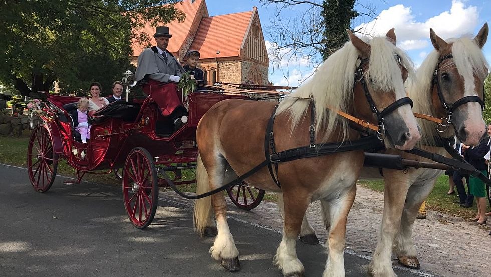 Gern fahren wir Sie an Ihrem ganz besonderen Tag zur Kirche, zum Standesamt oder zum Ort Ihrer wahl - fragen Sie uns an! // &copy; Mecklenburger Kutsch- und Kremserfahrten/ Axel Peters