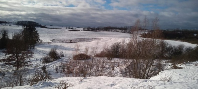 © Elena Eib © Elena Eib