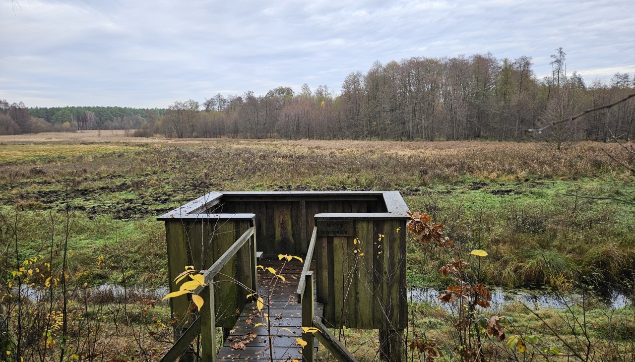 20251112_113848, &copy; NPA M&uuml;ritz