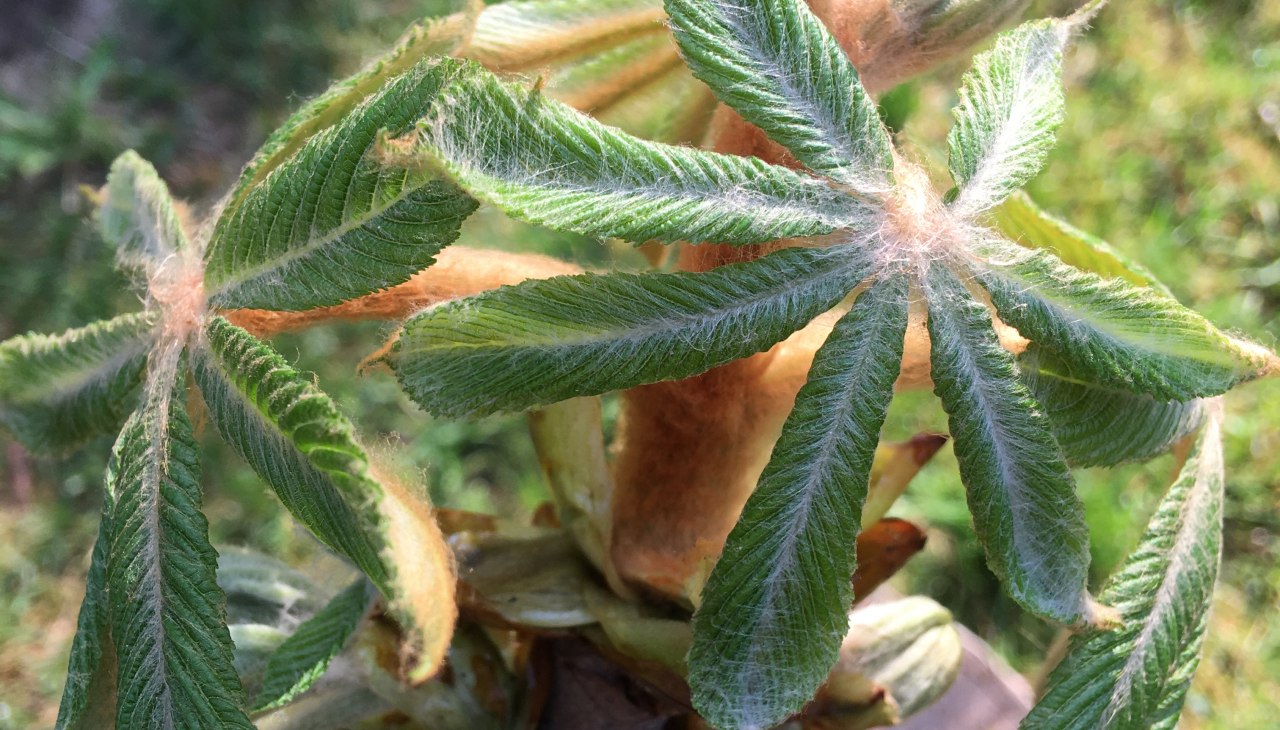 Tu dir gut &ndash; Die Natur erleben, &copy; IMG_7734.JPG