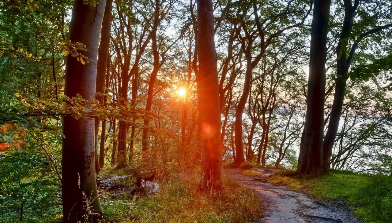 Literarischer Spaziergang (c) Kurverwaltung Goehren Martin Stoever_07-2019_P5I1472_71_70_69_68_HDR projects-2, &copy; Kurverwaltung Goehren / Martin Stoever