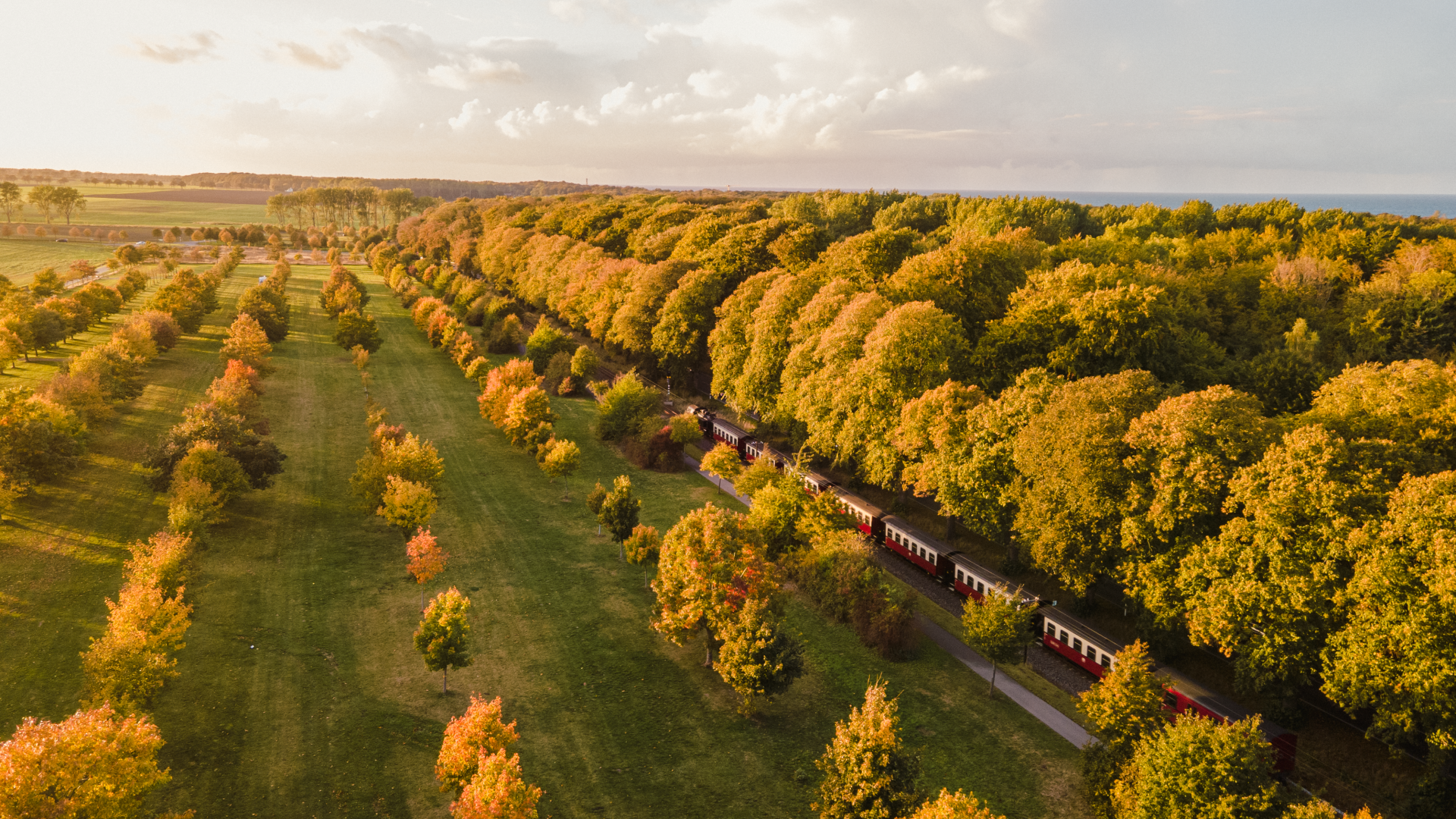 Der Molli - die alte Dampflok f&auml;hrt im Herbst entlang der Allee beim Sonnenuntergang.
