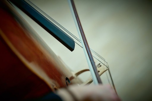 Abbildung eines Violoncellos // © Fotograf Mirco Dalchow Abbildung eines Violoncellos // © Fotograf Mirco Dalchow