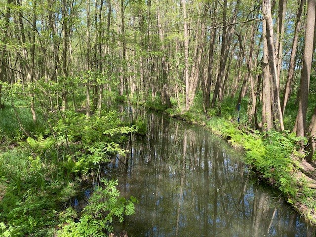 Bürgermeisterrundweg, © Touristinformationen Wesenberg & Mirow, Mecklenburgische Kleinseenplatte Bürgermeisterrundweg, © Touristinformationen Wesenberg & Mirow, Mecklenburgische Kleinseenplatte