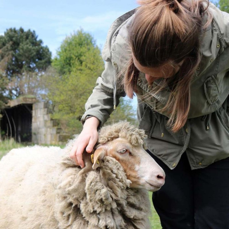 Die Tafel.Runde im Land der Tiere ist ein Tierschutz-Ganztagesevent der besonderen Art: exklusiver veganer Kochkurs und intensives Eintauchen ins Land der Tiere. // © Land der Tiere Die Tafel.Runde im Land der Tiere ist ein Tierschutz-Ganztagesevent der besonderen Art: exklusiver veganer Kochkurs und intensives Eintauchen ins Land der Tiere. // © Land der Tiere