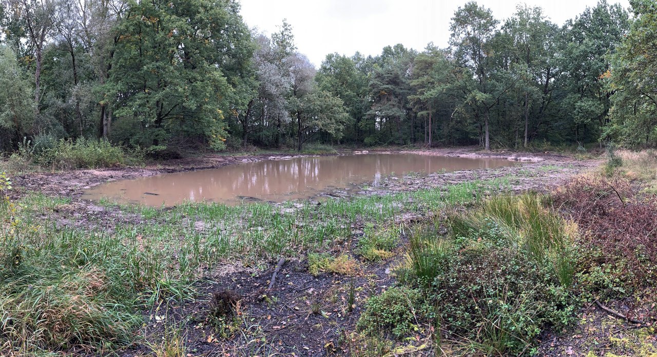 Renaturierte Kubelkakuhle im Jahr 2024. // &copy; Biosph&auml;renreservatsamt Schaalsee-Elbe