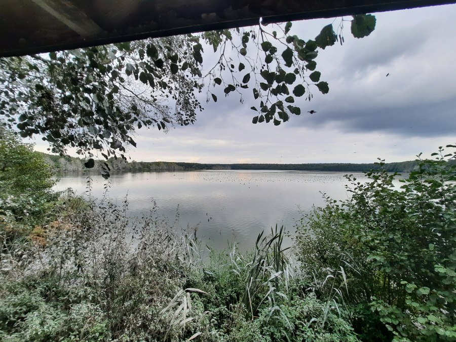 Aussichtspunkt, © Waren (Müritz)-Information Aussichtspunkt, © Waren (Müritz)-Information