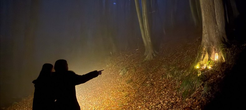 &copy; Nationalaprk-Zentrum K&Ouml;NIGSSTUHL