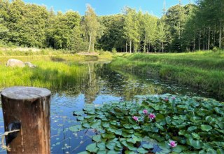 Natur im Einklang // © Südliche Boddenküste Natur im Einklang // © Südliche Boddenküste