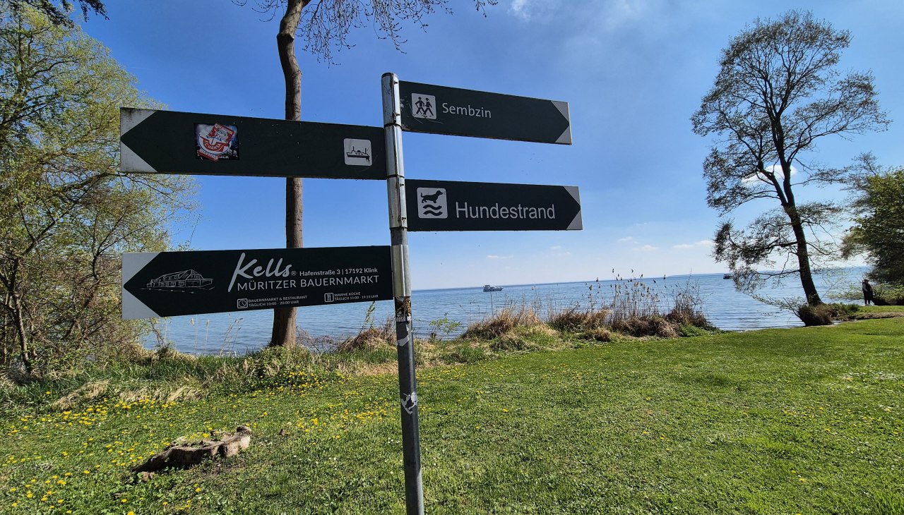 20250420_135253, © Gina Schulenberg 20250420_135253, © Gina Schulenberg